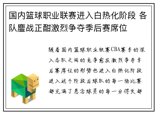 国内篮球职业联赛进入白热化阶段 各队鏖战正酣激烈争夺季后赛席位