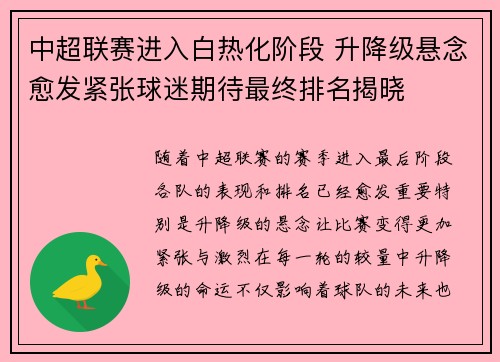中超联赛进入白热化阶段 升降级悬念愈发紧张球迷期待最终排名揭晓